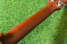 aNueNue aNN-C4 Concert #3_9