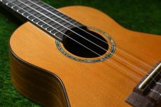 aNueNue aNN-C4 Concert #3_12