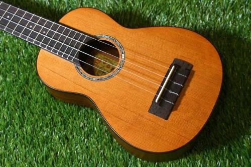 aNueNue aNN-S4 Soprano #2