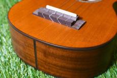 aNueNue aNN-S4 Soprano #2_11