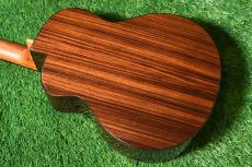 aNueNue UB200 MOON BIRD Baritone_2