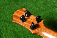 aNueNue UB200 MOON BIRD Baritone_6