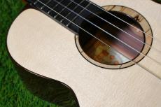 aNueNue UB200 MOON BIRD Baritone_10