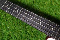 aNueNue UB200 MOON BIRD Baritone_16