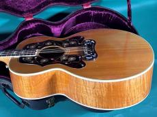 Gibson J-200 DOUBLE GUARD_4