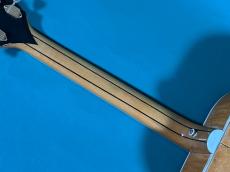 Gibson J-200 DOUBLE GUARD_8