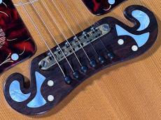 Gibson J-200 DOUBLE GUARD_10