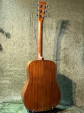 Martin 【2023年製USED】D-19 190th Anniversary -Adirondack Spruce-【世界190本限定】_4