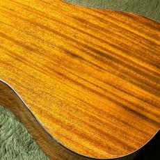 Martin 【2023年製USED】D-19 190th Anniversary -Adirondack Spruce-【世界190本限定】_10