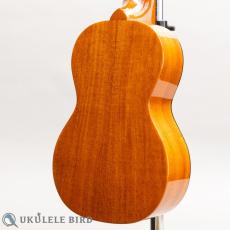 SAKATA GUITAR US-1C 17F Custom_9