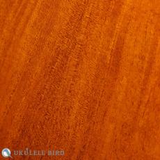 SAKATA GUITAR US-1C 17F Custom_10