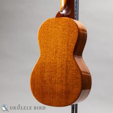 SAKATA GUITAR US-1 17F Custom_9