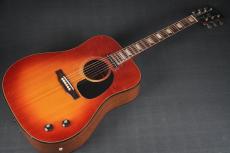 Gibson J-160E Custom_10