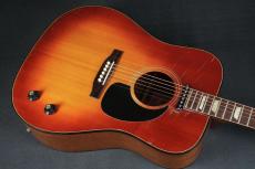 Gibson J-160E Custom_11