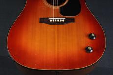 Gibson J-160E Custom_12