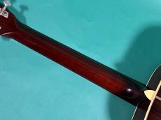 Shenandoah by C.F. Martin MHOM-28_8