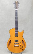 Marchione Guitars Semi-Hollow Arch Top TOM Bridge and Stop Tailpiece / 2014_2