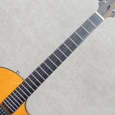 Marchione Guitars Semi-Hollow Arch Top TOM Bridge and Stop Tailpiece / 2014_7