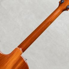 Marchione Guitars Semi-Hollow Arch Top TOM Bridge and Stop Tailpiece / 2014_8