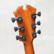 Marchione Guitars Semi-Hollow Arch Top TOM Bridge and Stop Tailpiece / 2014_10