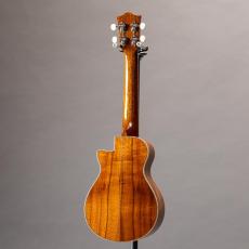 Truth THC-2328 Maple Binding_12