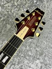 Aria Pro II 【特選中古セール】PE-R100 -SmokyAmber- 【2017'sUSED】_3