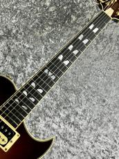 Aria Pro II 【特選中古セール】PE-R100 -SmokyAmber- 【2017'sUSED】_4