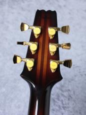 Aria Pro II 【特選中古セール】PE-R100 -SmokyAmber- 【2017'sUSED】_5