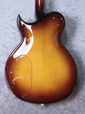 Aria Pro II 【特選中古セール】PE-R100 -SmokyAmber- 【2017'sUSED】_7