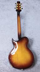 Aria Pro II 【特選中古セール】PE-R100 -SmokyAmber- 【2017'sUSED】_8