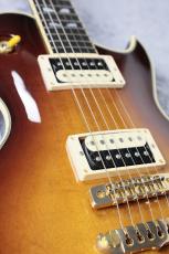 Aria Pro II 【特選中古セール】PE-R100 -SmokyAmber- 【2017'sUSED】_10