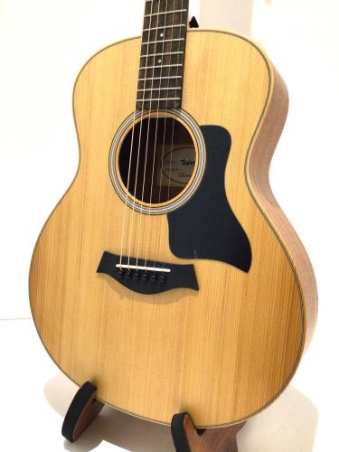 Taylor GS Mini