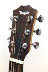 Taylor GS Mini_3