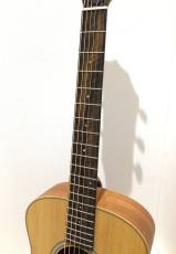 Taylor GS Mini_4
