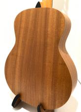 Taylor GS Mini_5