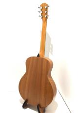 Taylor GS Mini_6