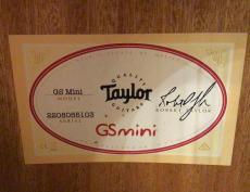 Taylor GS Mini_9