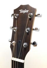 Taylor 14ce_3