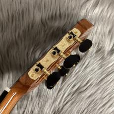 君島聡 2025年製 STELLA/松/ローズウッド【島村楽器限定仕様】_10