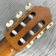 Paolo Coriani 2022年製 マヌエルラミレスモデル 選定松/ハカランダ　※裏板3ピース構造_9