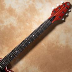 Kz Guitar Works Kz RS Hybrid Junior_6