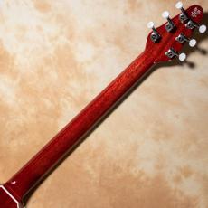 Kz Guitar Works Kz RS Hybrid Junior_10