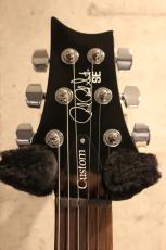 Paul Reed Smith [PRS] 【3.63kg】SE Custom 24 -Emerald Green- #CTI H010689【ポイント付与対象外商品】_3