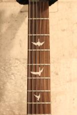 Paul Reed Smith [PRS] 【3.63kg】SE Custom 24 -Emerald Green- #CTI H010689【ポイント付与対象外商品】_4