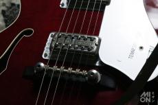 Gretsch G6119 Tennessee Rose 2003_5