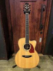 SUMI SJ-J "Ziricote Side & Back"