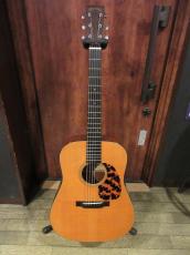 Martin D-18GE "Golden Era"