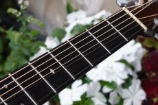 Martin D-28Vハカランダ_10