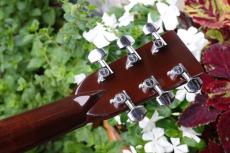 Martin D-28Vハカランダ_11