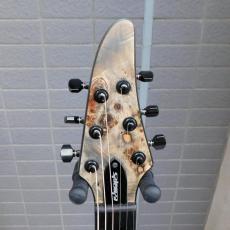 Edwards  E-HR6-FX/BM_3